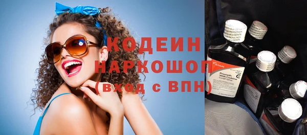 соль ск Новозыбков