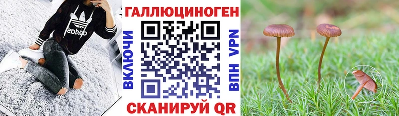 купить  цена  кракен ССЫЛКА  Галлюциногенные грибы Cubensis  Осинники 